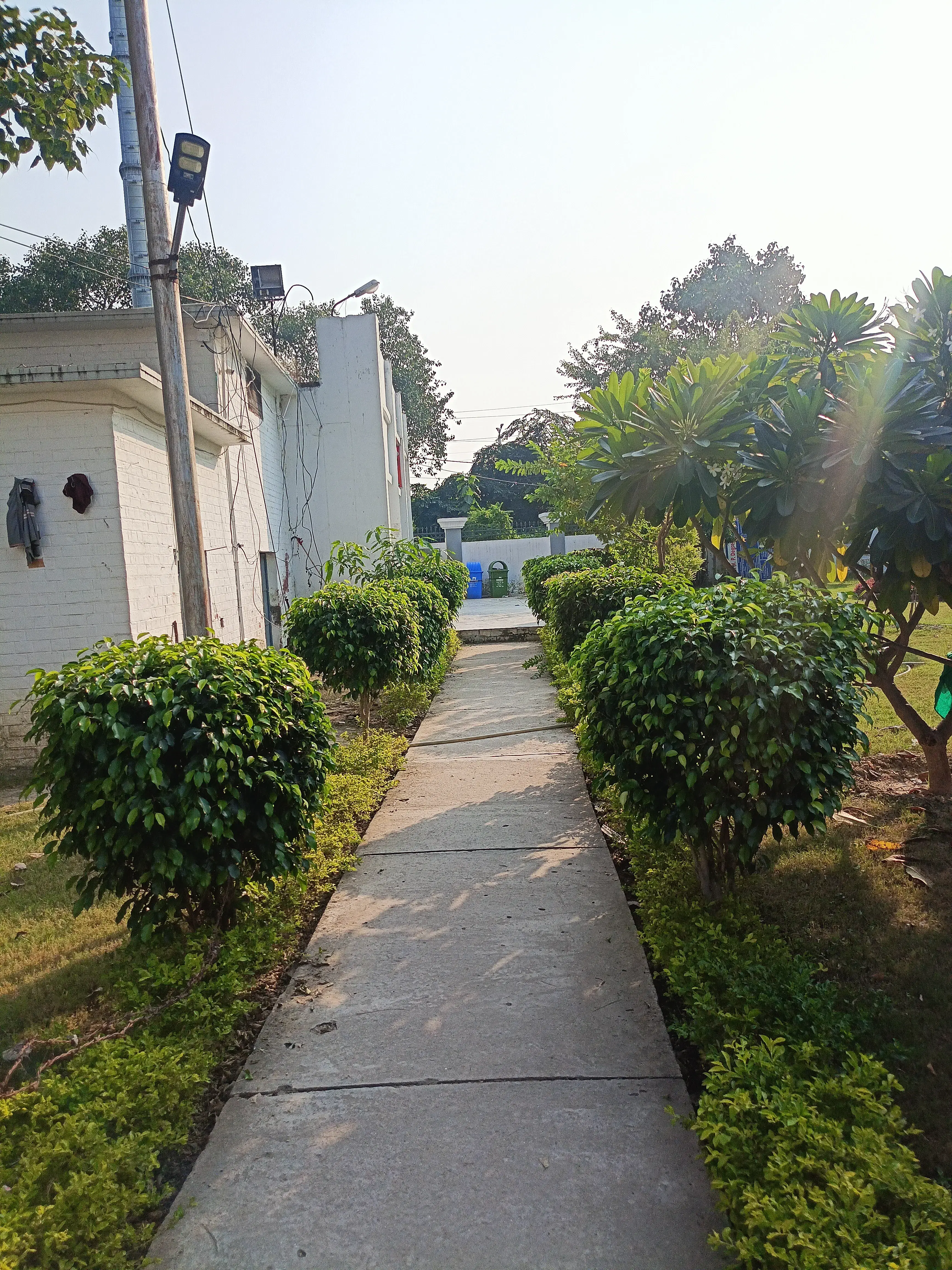 Chowdhary Mahadev Prasad Degree College Allahabad CAMPUS photo 8